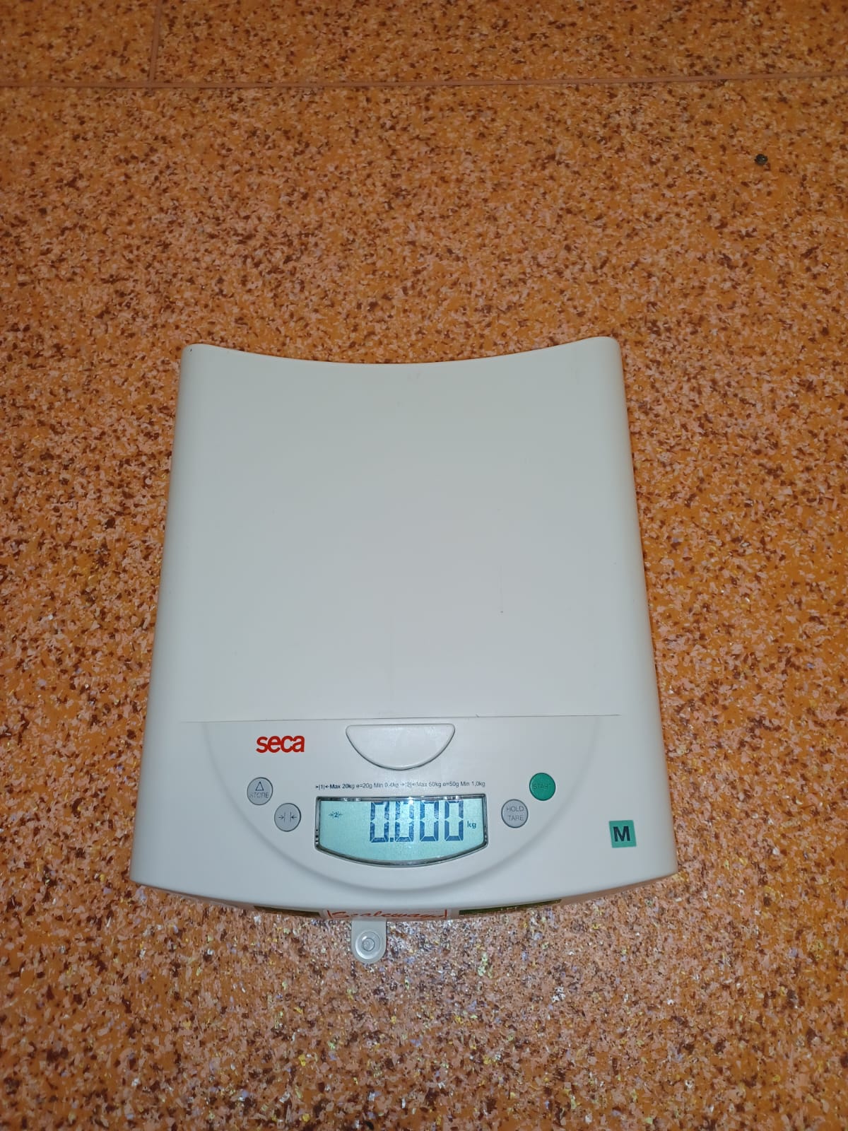 stand on scales