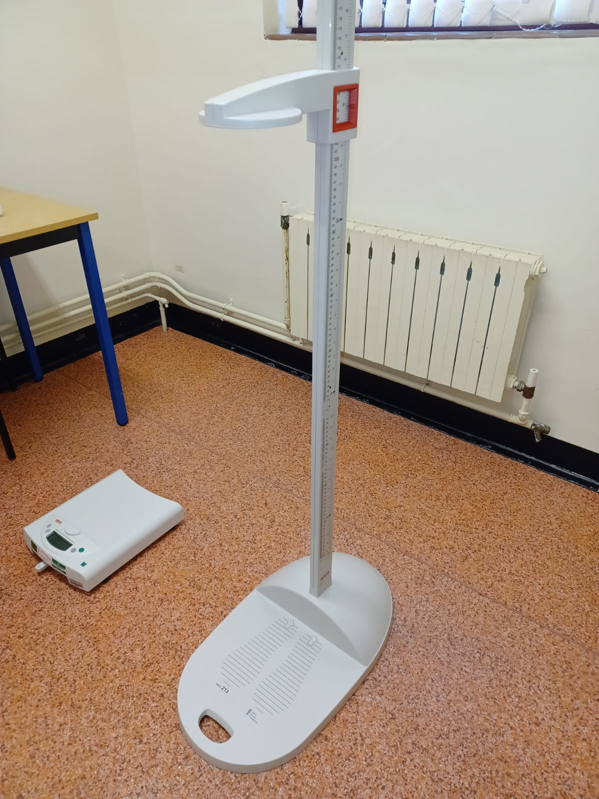 scales and height chart
