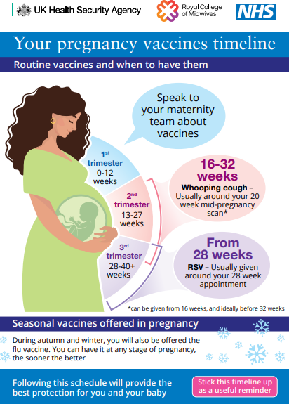 Image showing a timeline of vaccinations had during pregnancy