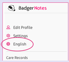 Image showing where to change the language in the app