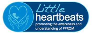 Image of the Little Heartbeats logo